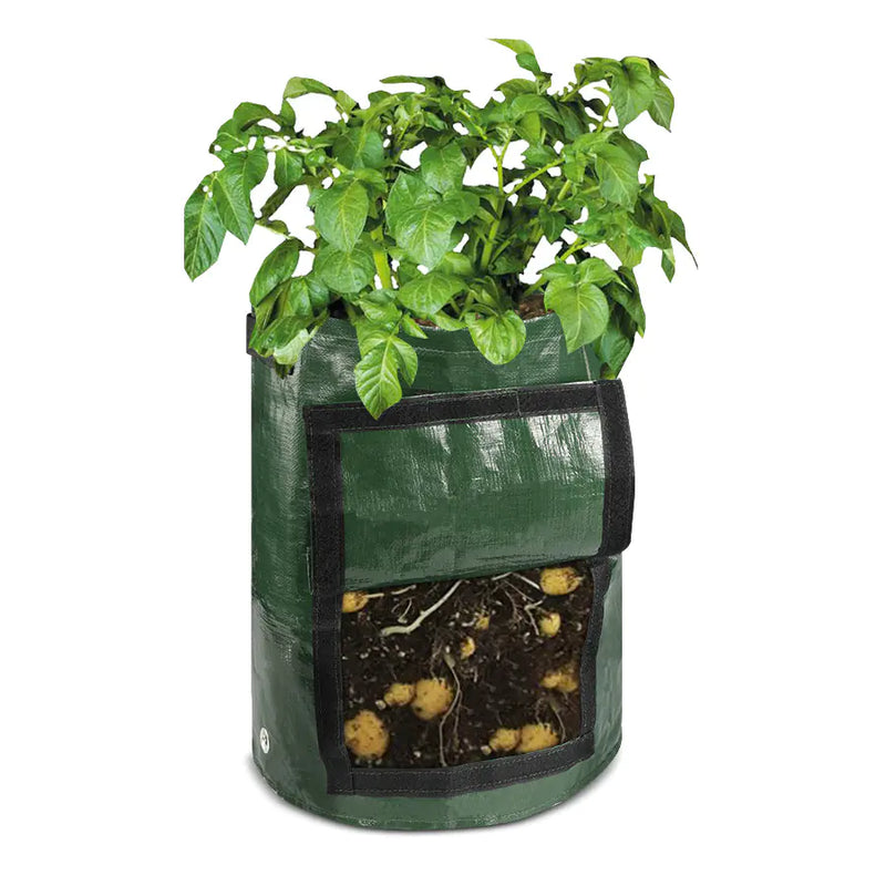 Breathable PE Plant Growth Bags for Potatoes & Tomatoes