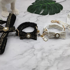 Pet Collar and Leash Set for Outdoor Use