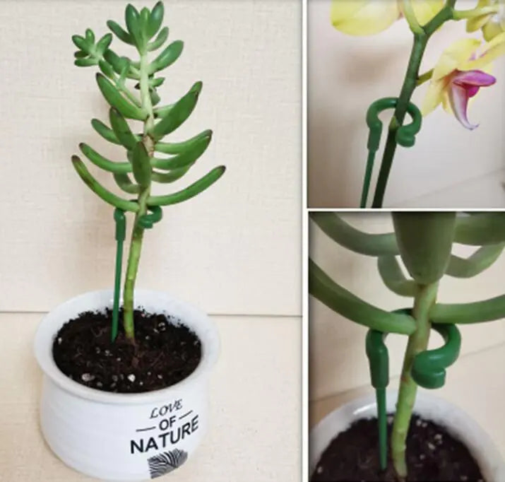Succulent Orchid Plant Stand with Support Rods