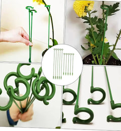 Orchid Stability Stand - Secure Anti-Tip Design